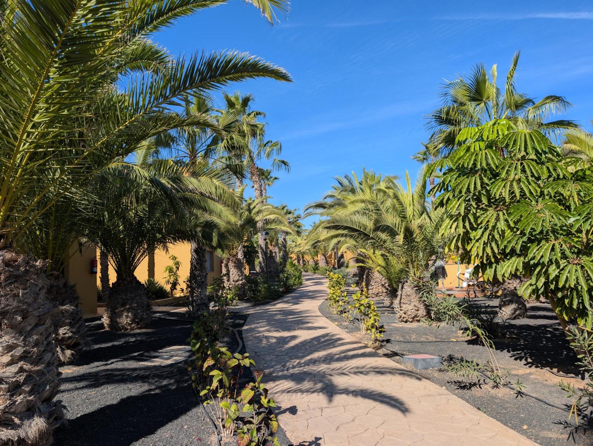Apartament Casa Miro Corralejo Zewnętrze zdjęcie