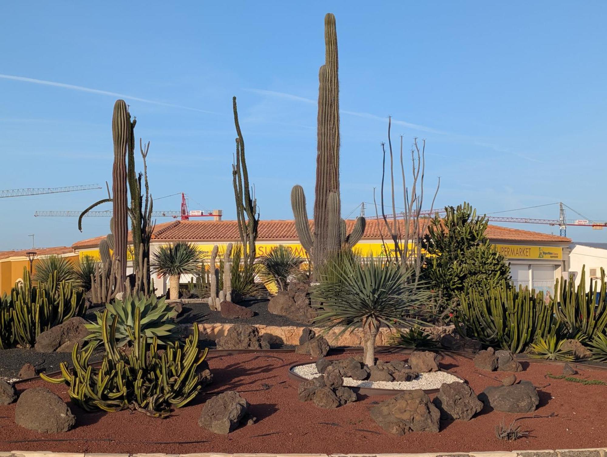 Apartament Casa Miro Corralejo Zewnętrze zdjęcie